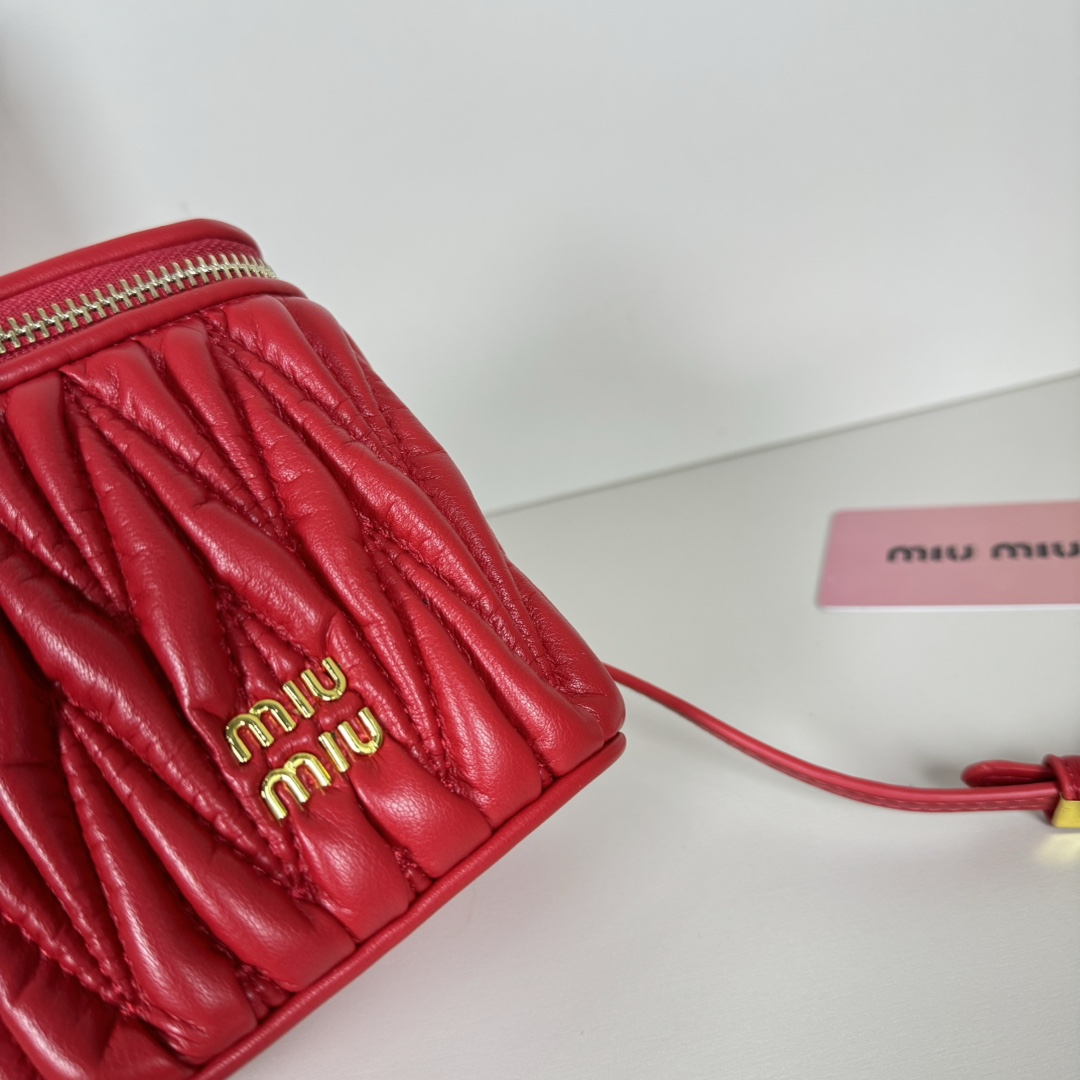 Miu Miu Cosmetic Bags